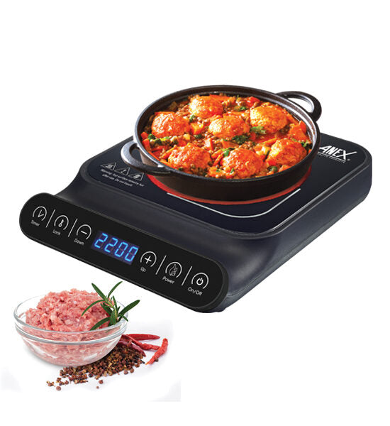 Anex Hot Plate AG-2166 Infrared
